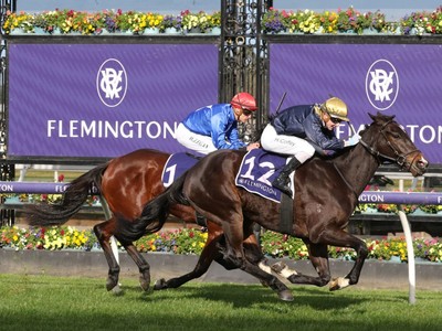 Blacker bets on a Melbourne Cup victor to lead Skyphios to ... Image 1